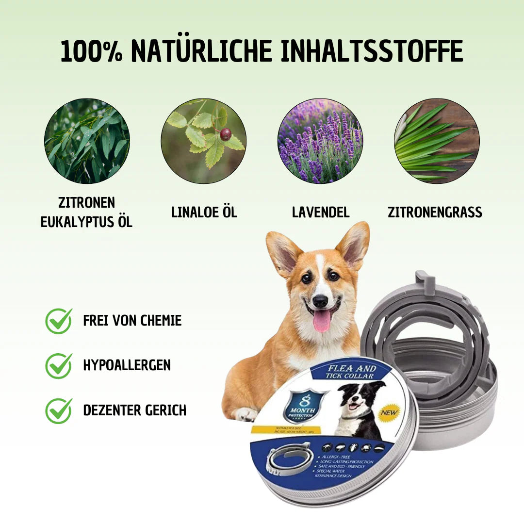 Premium Anti-Zecken Halsband