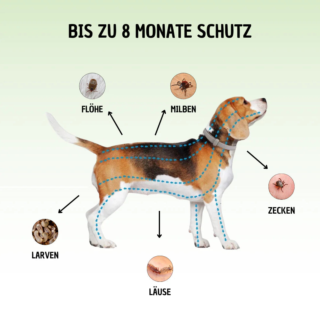 Premium Anti-Zecken Halsband