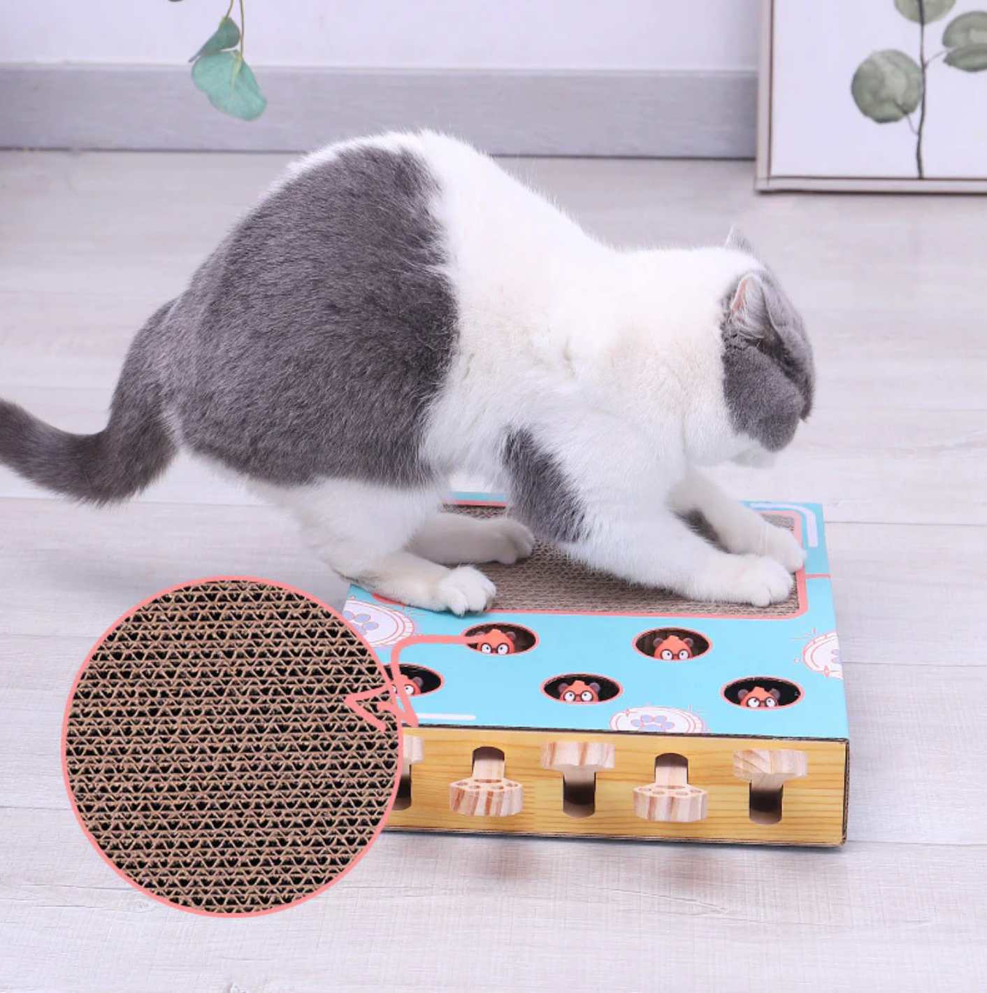 Katzen-Abenteuerbox