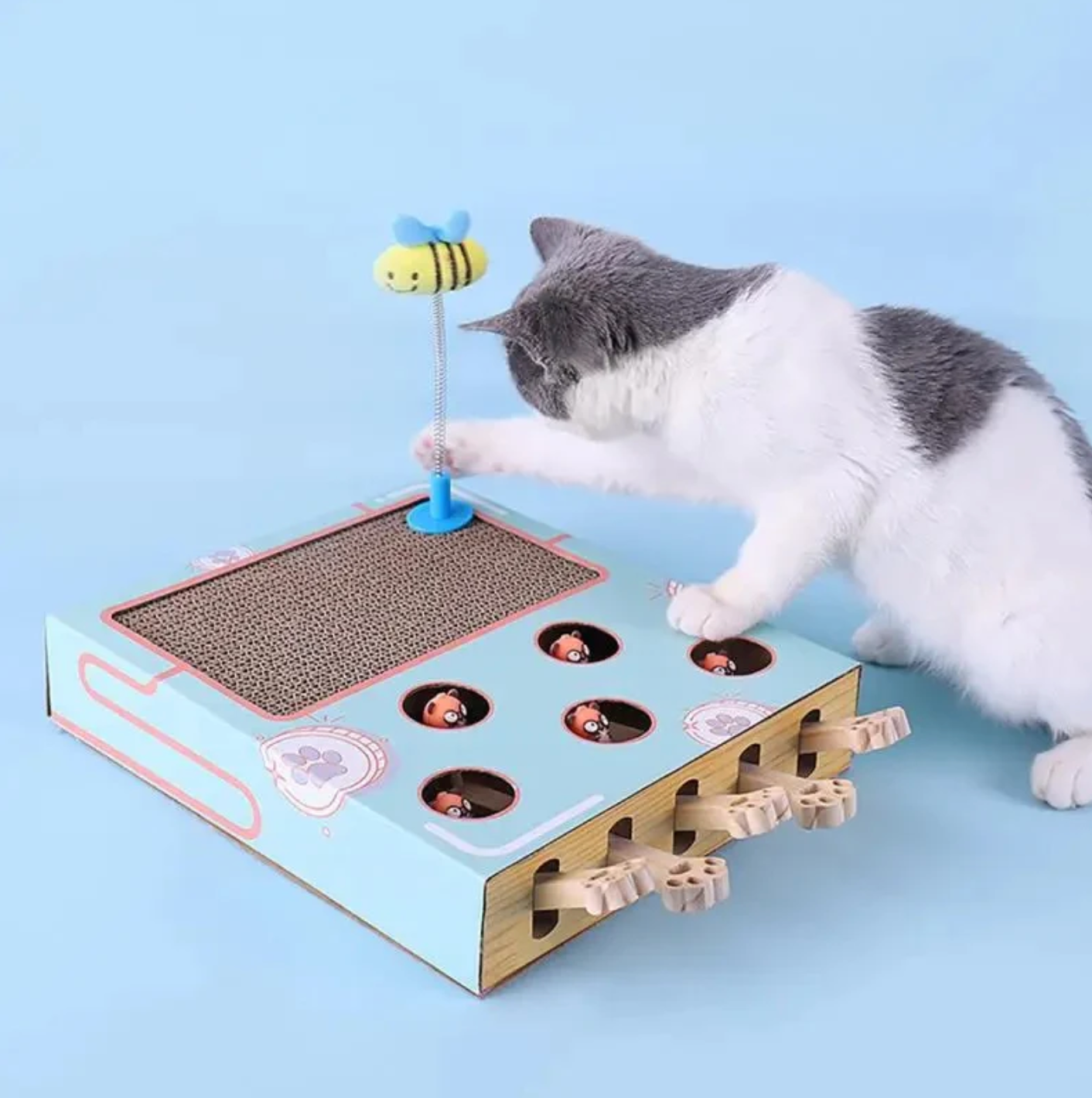 Katzen-Abenteuerbox