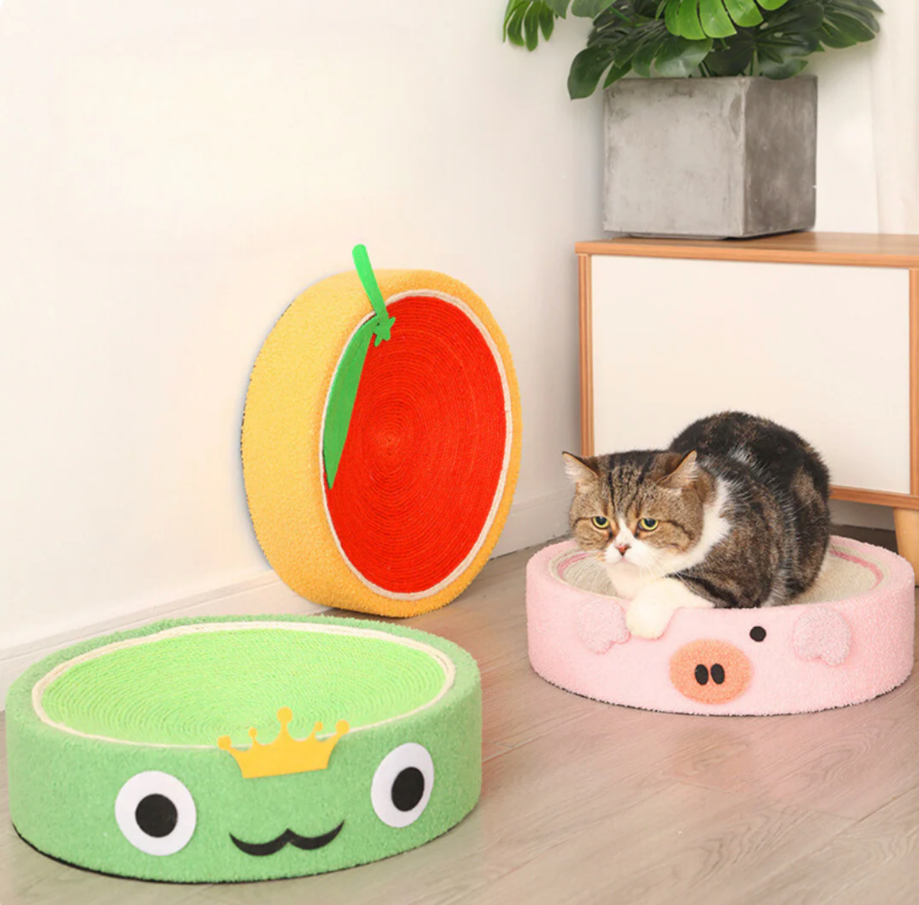 Sisal-Kratzbett für Katzen