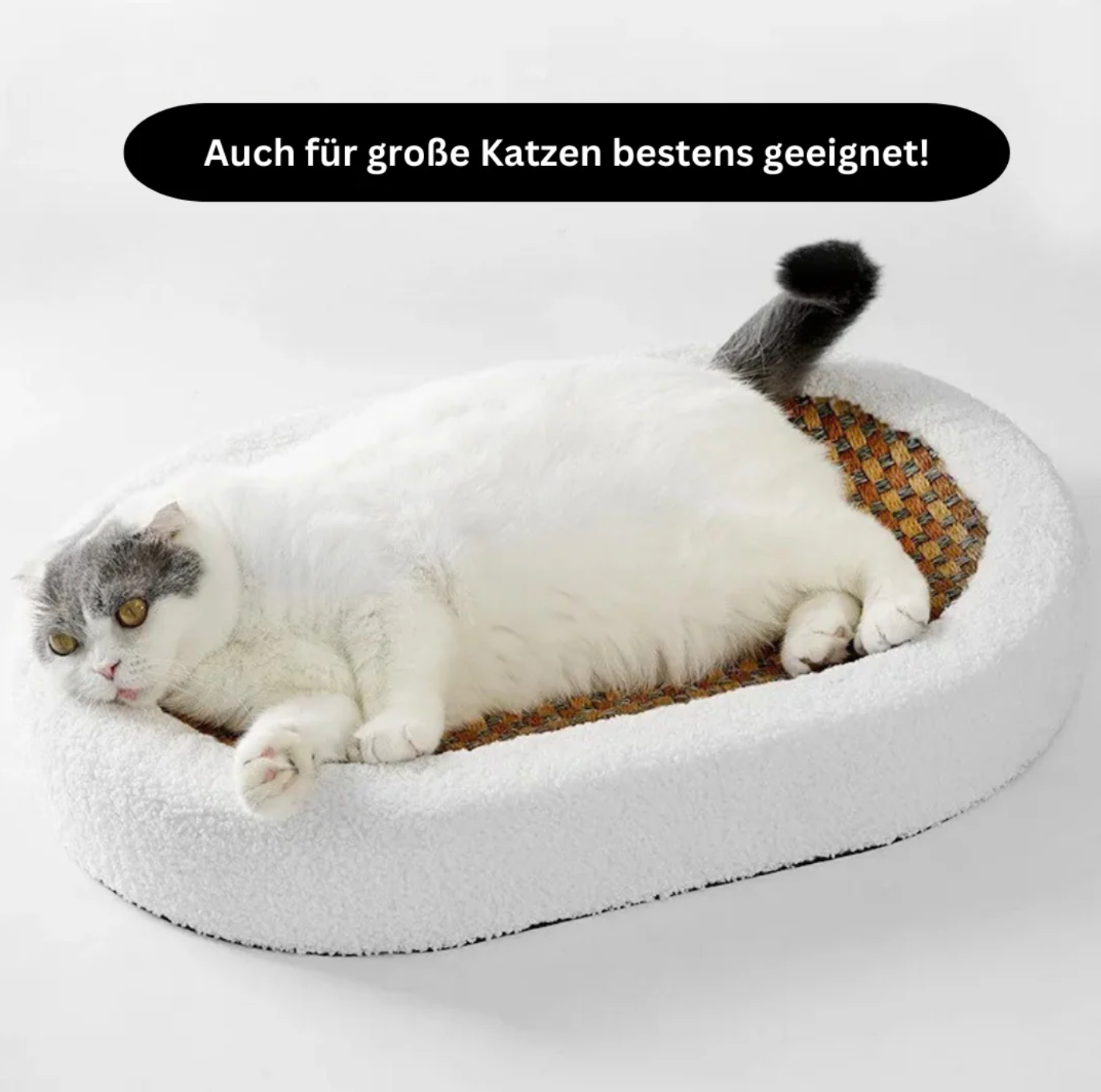 Luxus-Katzenbett