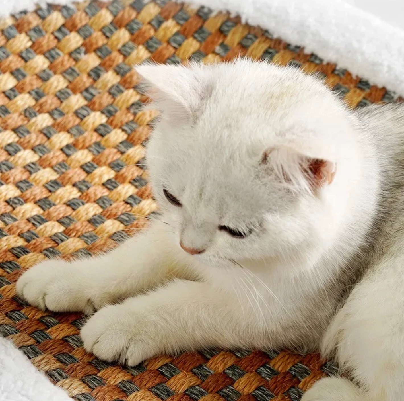 Luxus-Katzenbett