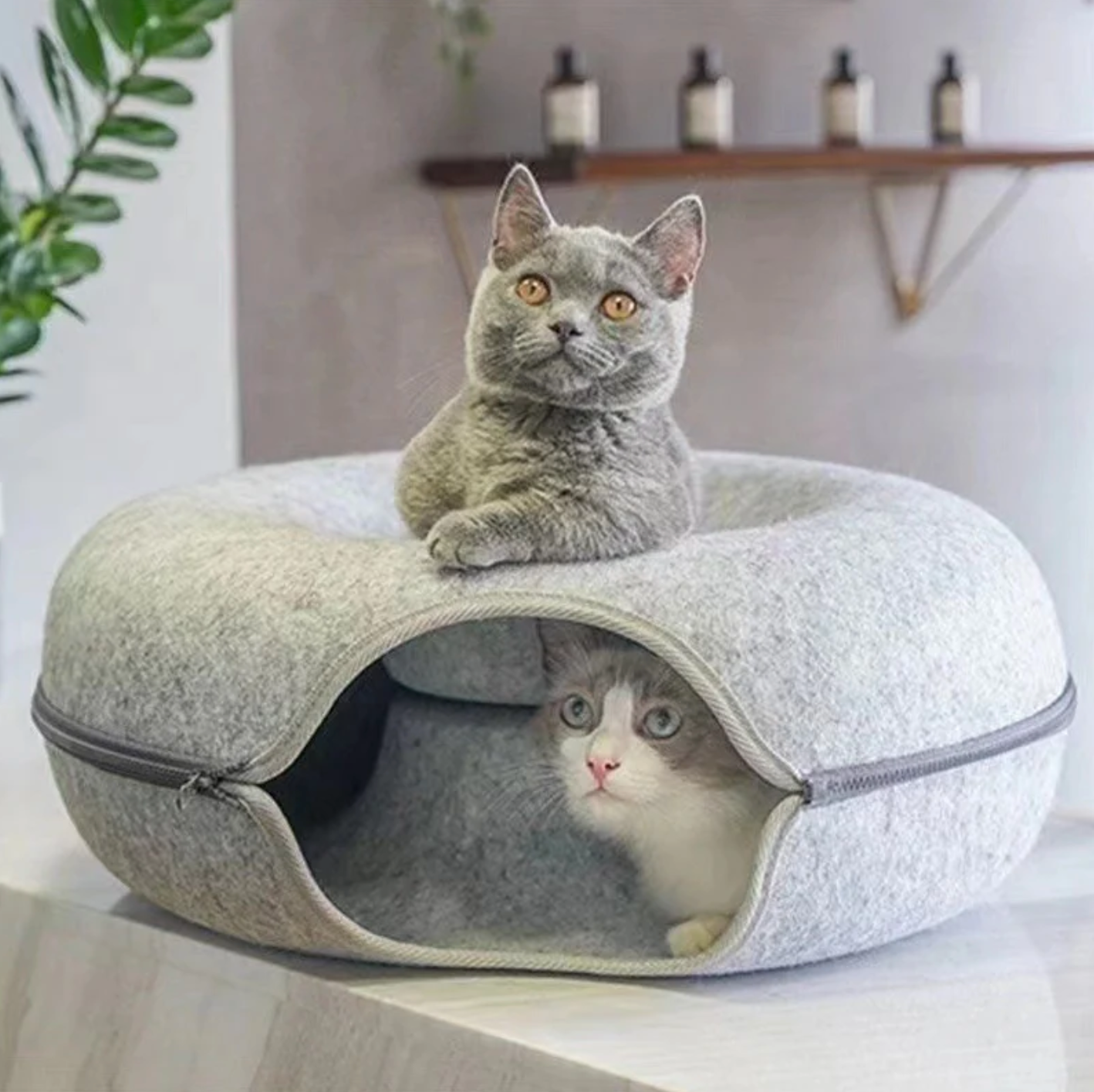 Kuschelhöhle für Katzen