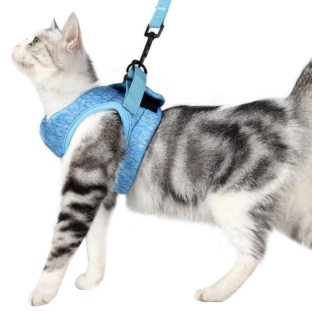 Sicheres Katzen-Geschirr mit Leine