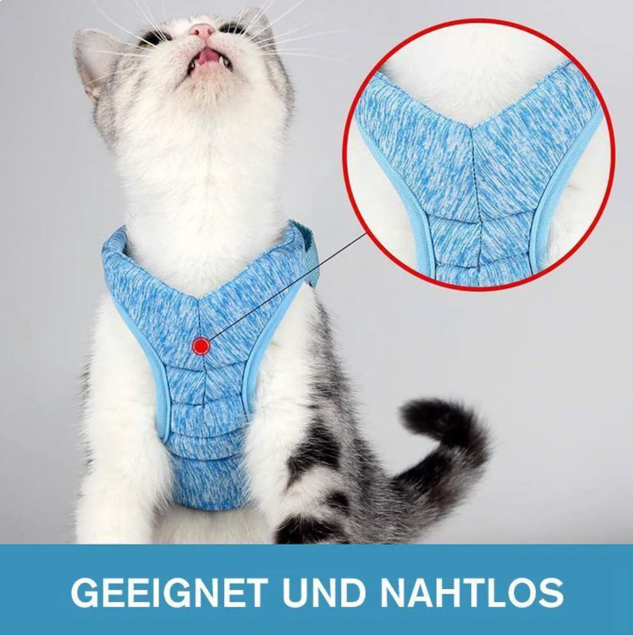 Sicheres Katzen-Geschirr mit Leine