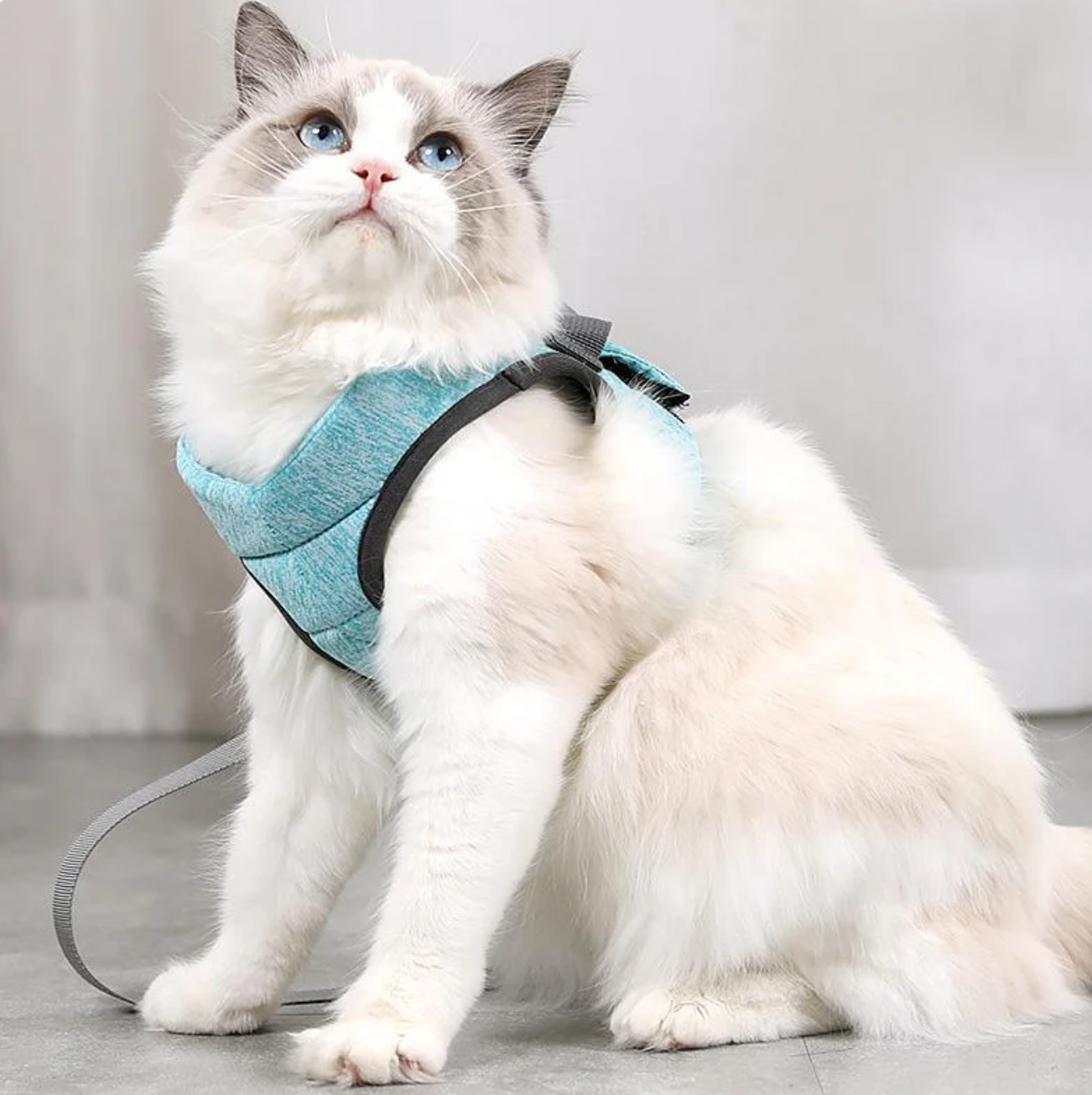 Sicheres Katzen-Geschirr mit Leine