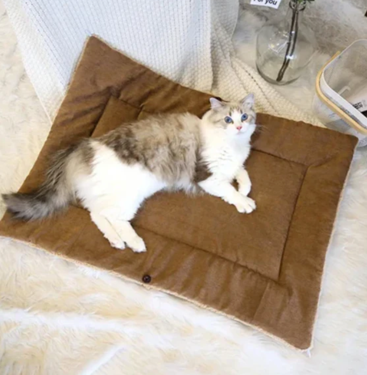 Katzenkuschelbett