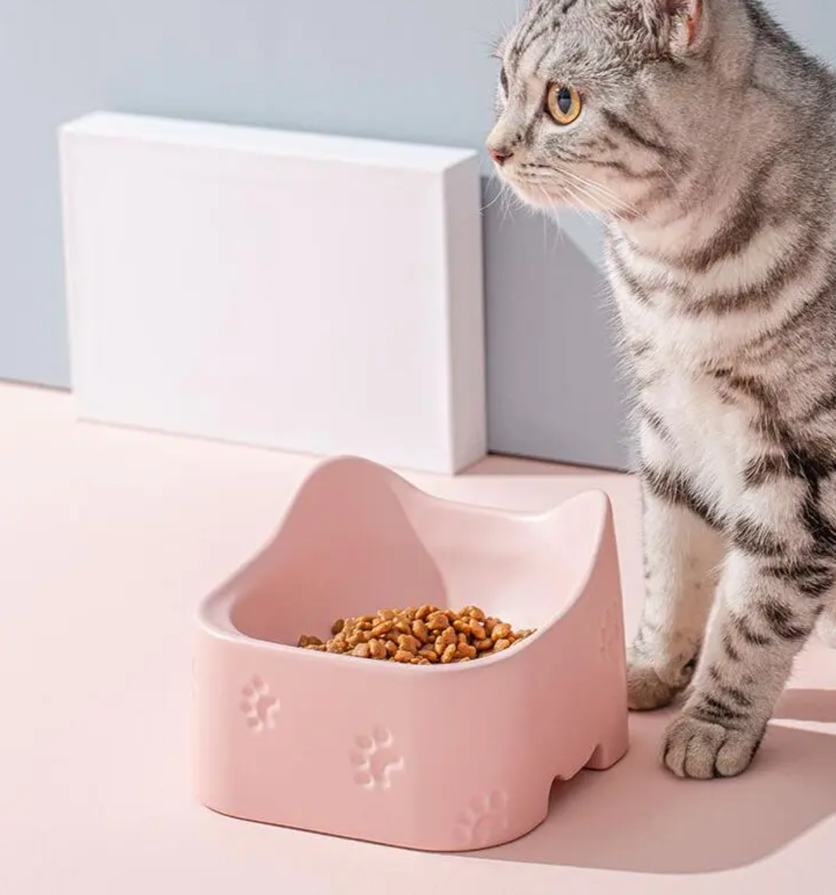 Ergonomische Katzenfutterschale