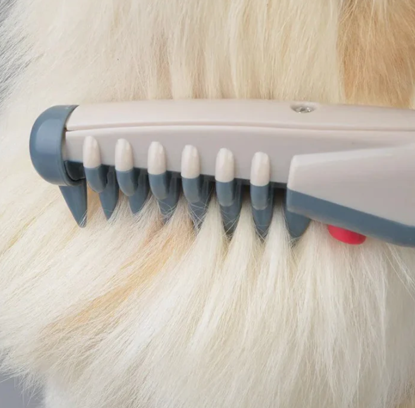 FellGlanz – Elektrischer Haarschneider für Hunde und Katzen