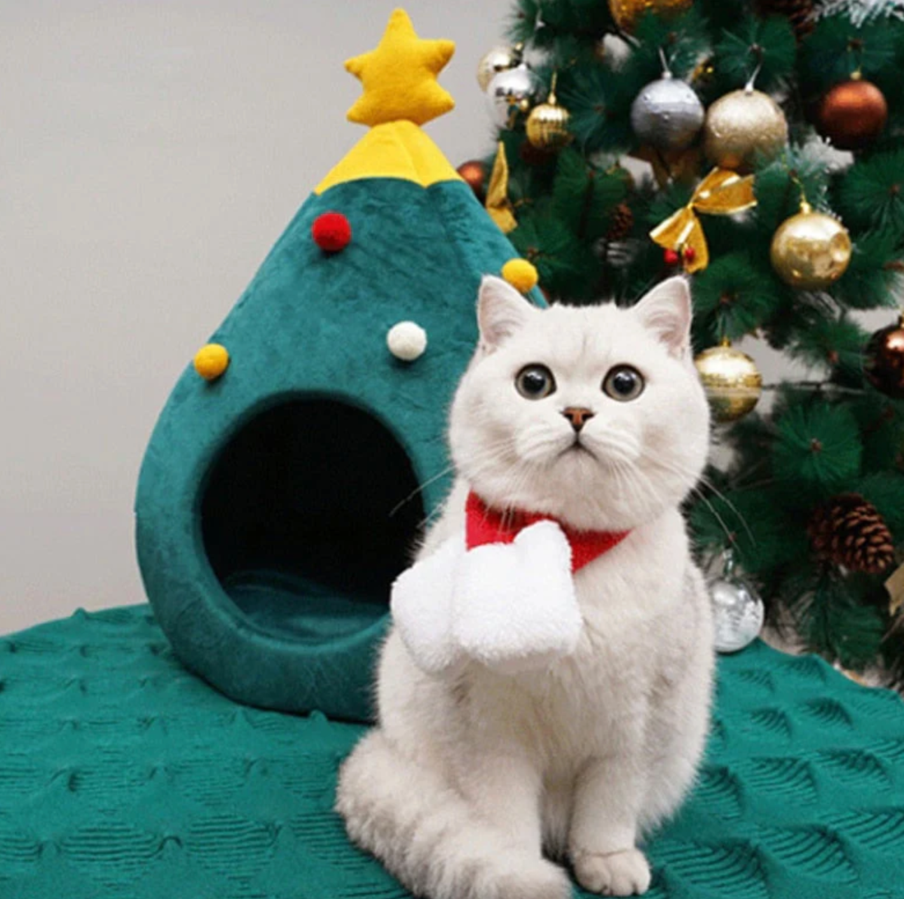 Fellbaum – Weihnachtsbaum-Katzenbett