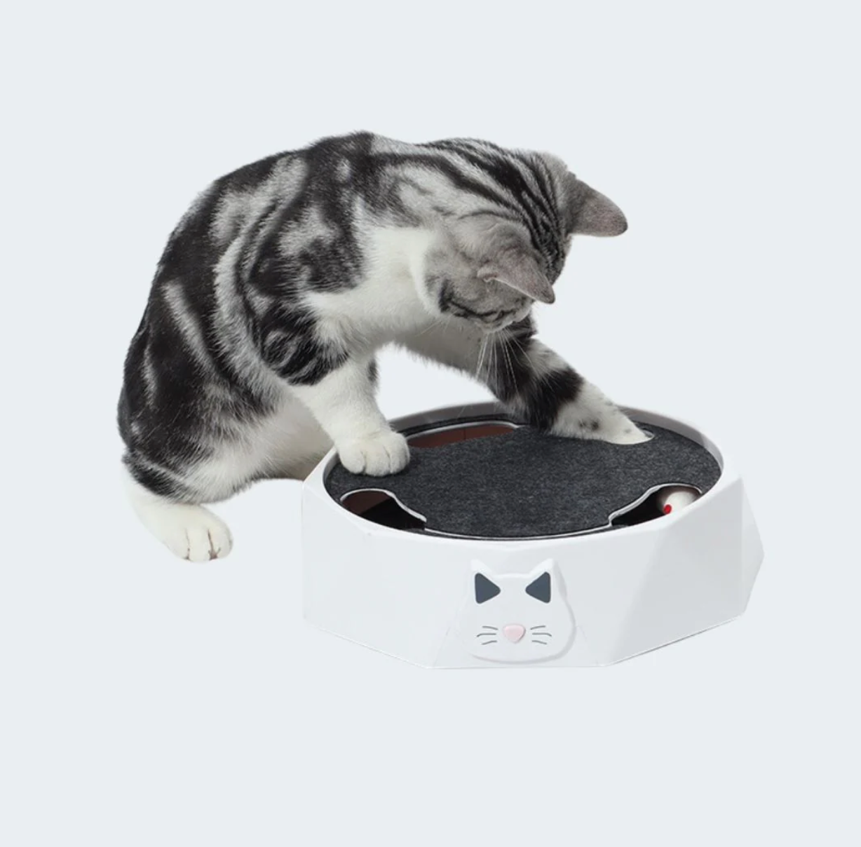 Jagemaus – Interaktives Versteck- und Jagdspiel für Katzen