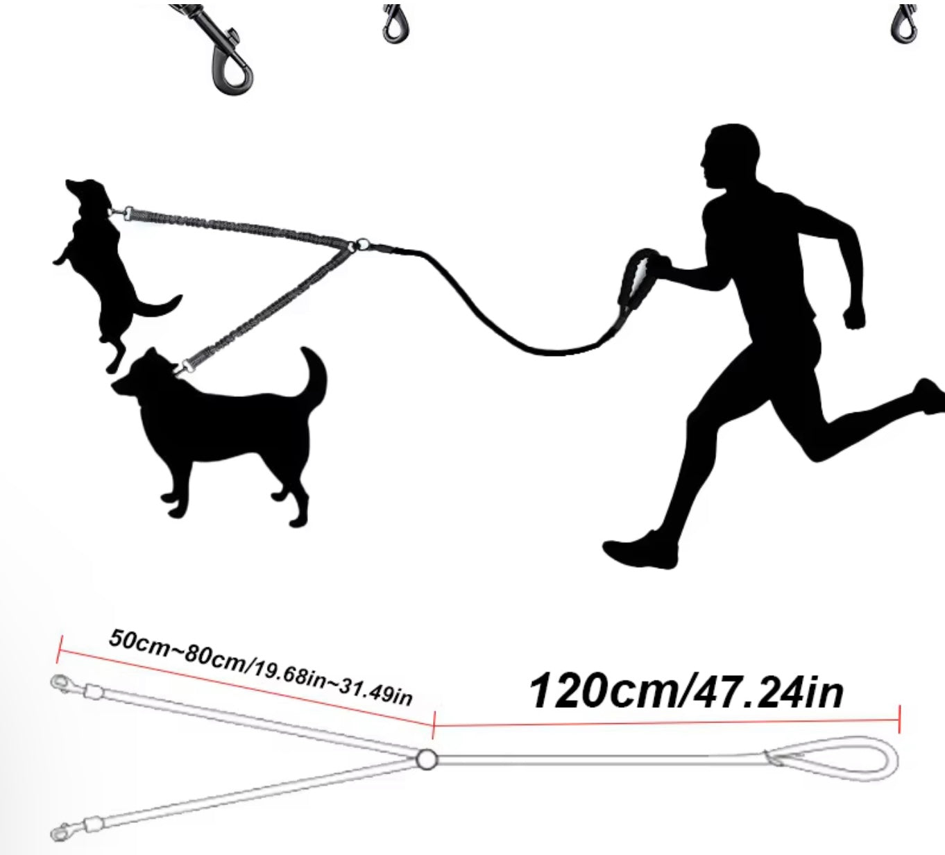 Doppelleine für zwei Hunde