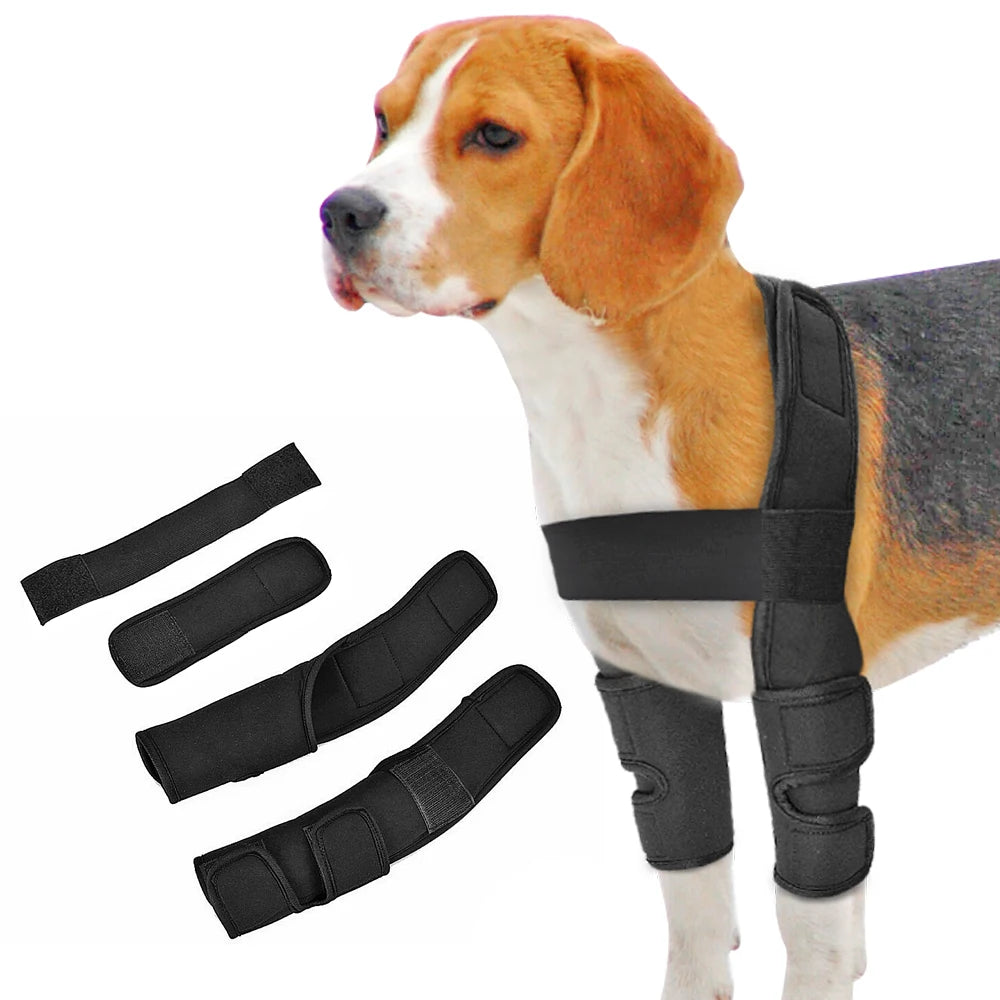 Kniebandage für Hunde