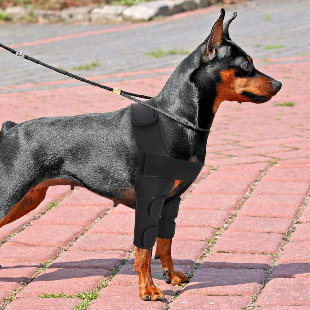 Kniebandage für Hunde