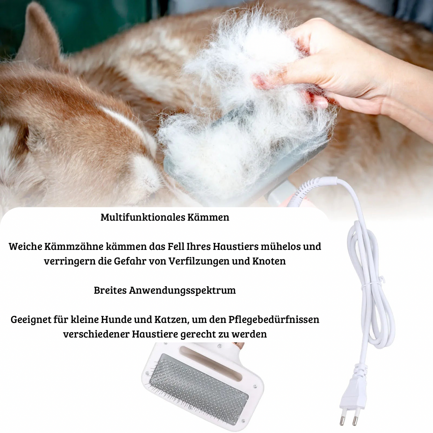 2 in 1 Föhn