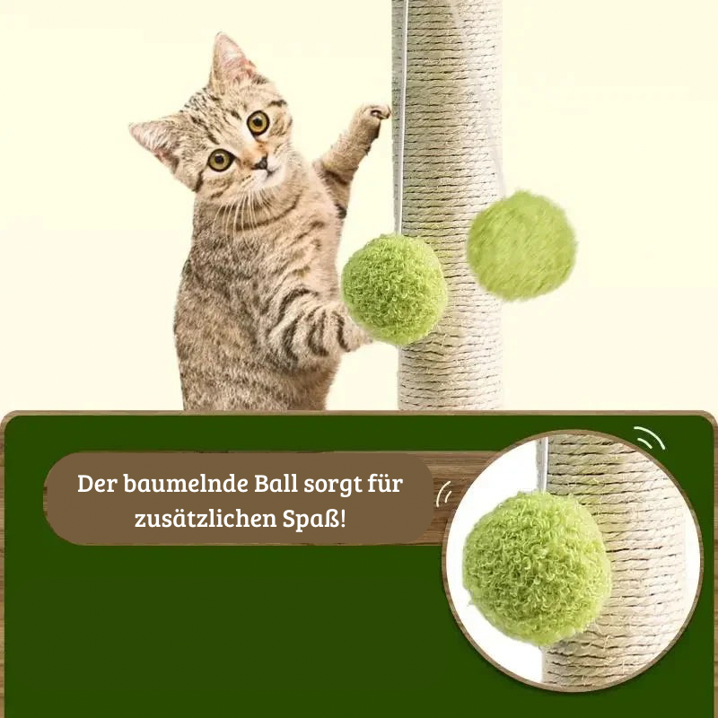 Kratzpalme