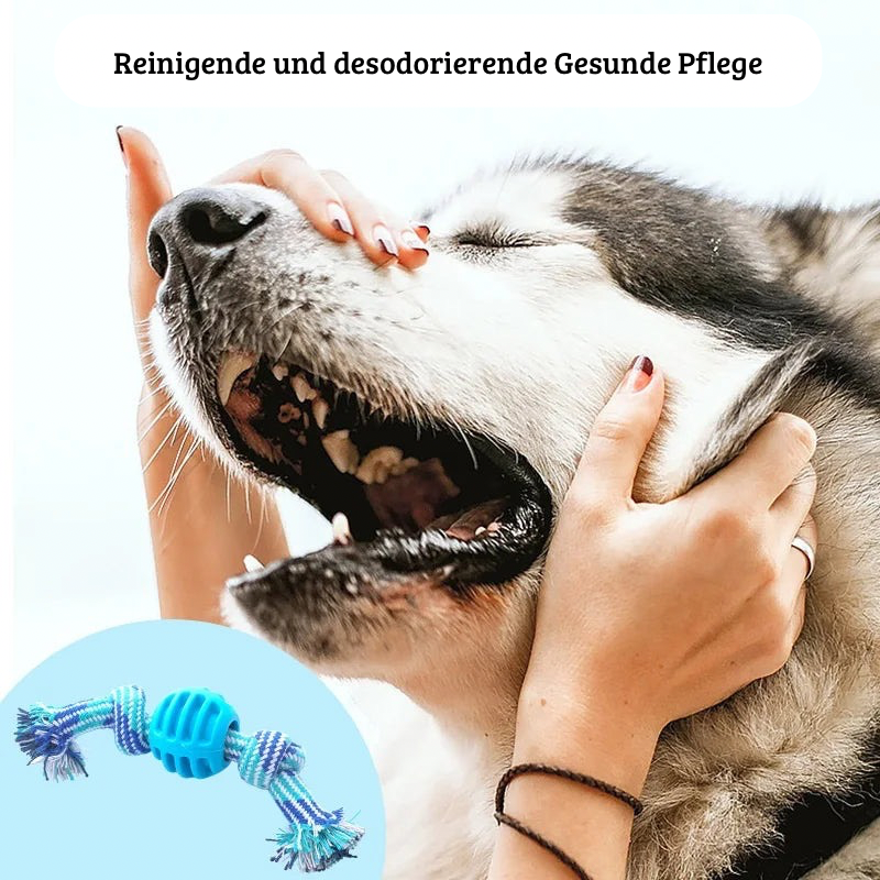 Knotball Kauspielzeug