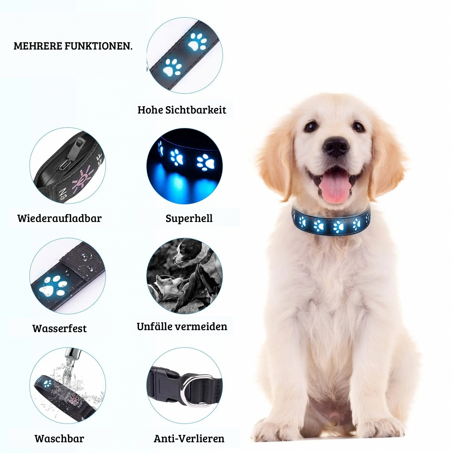 Leuchtendes LED-Halsband