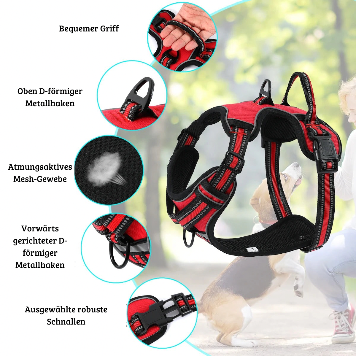 Verstellbares Hundegeschirr