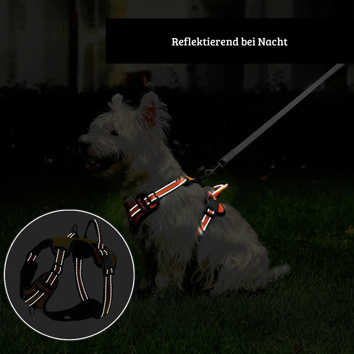 Verstellbares Hundegeschirr