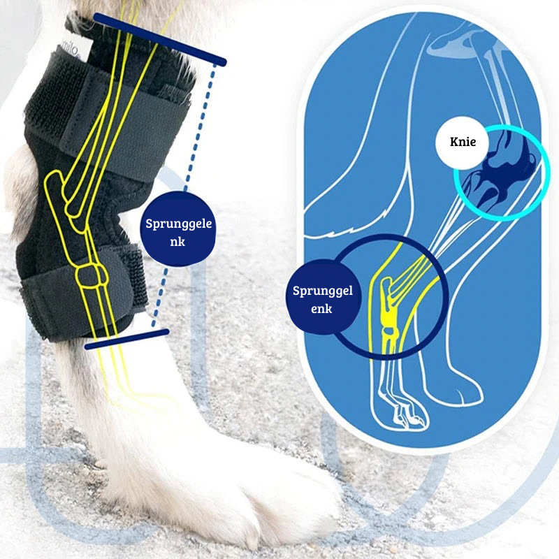 Beinschiene für Hunde