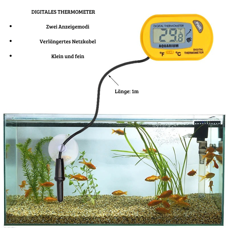 Digitales Aquarium-Thermometer