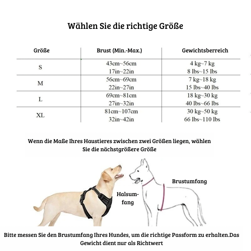 Robuste Hundegeschirr