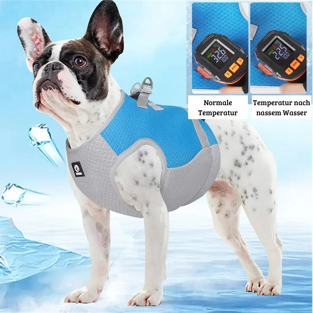 Verstellbare Hundekühlweste