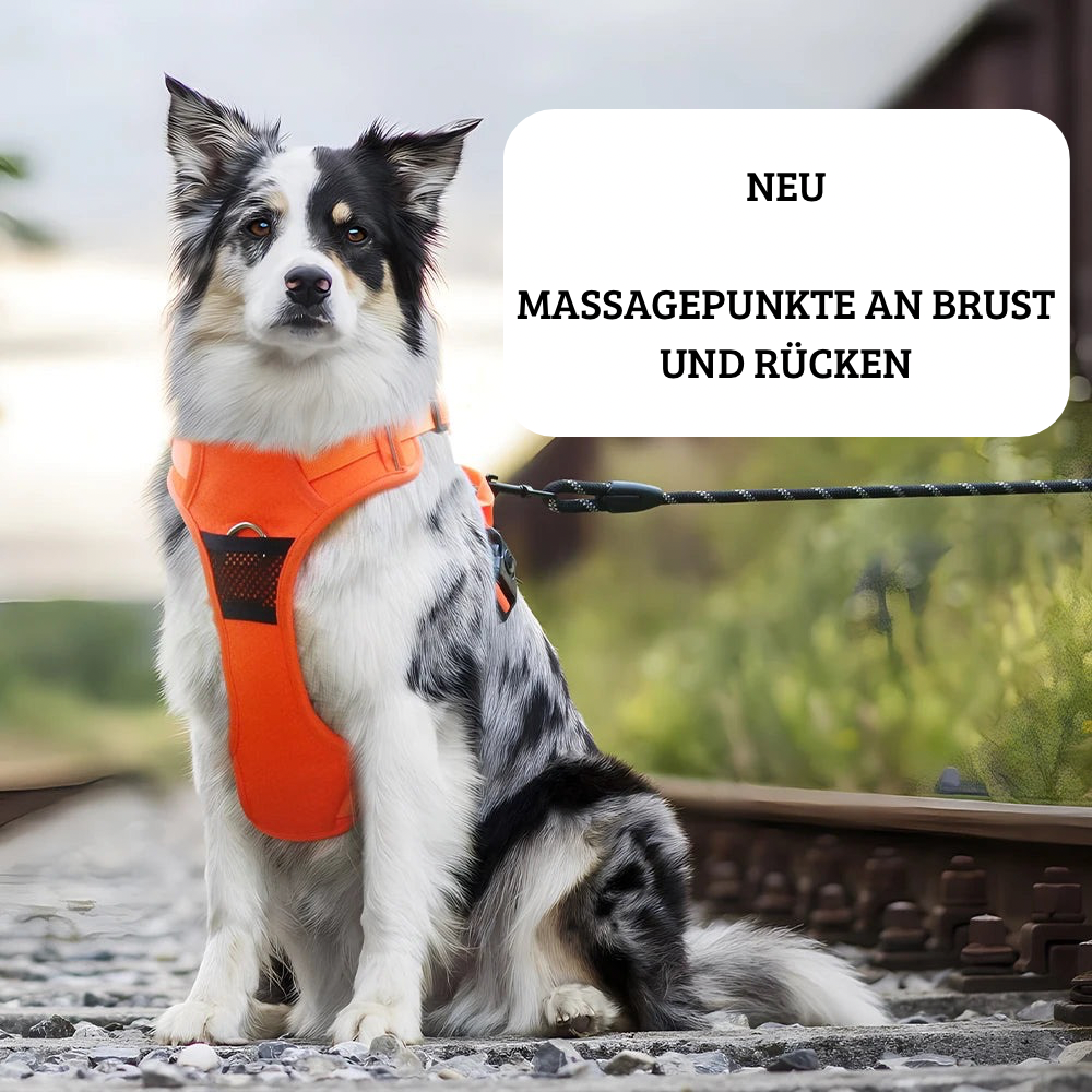 Verstellbares, reflektierendes Hundegeschirr