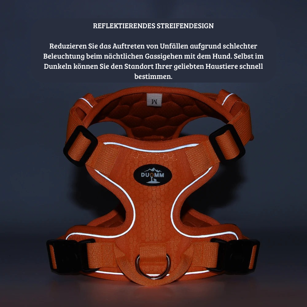 Verstellbares, reflektierendes Hundegeschirr