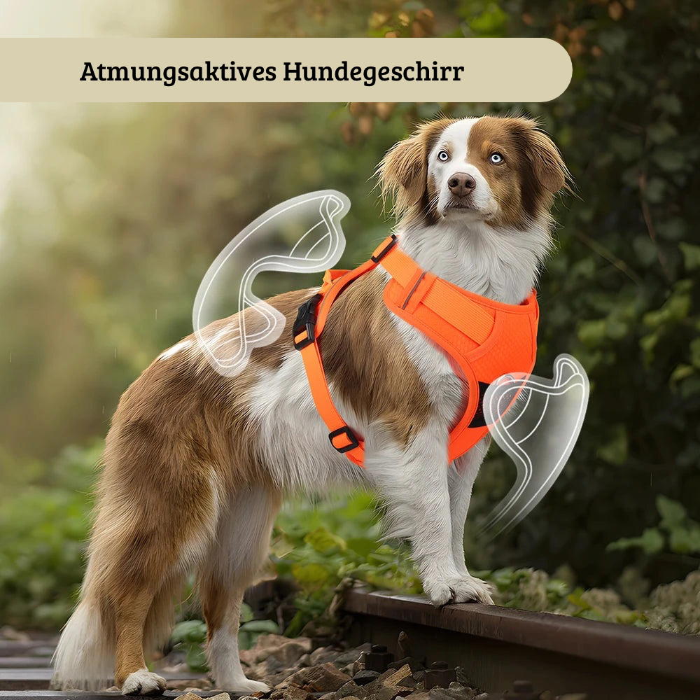 Verstellbares, reflektierendes Hundegeschirr