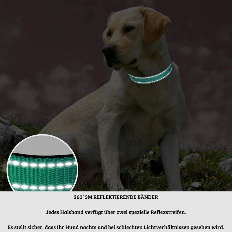 Reflektierendes, verstellbares Hundehalsband
