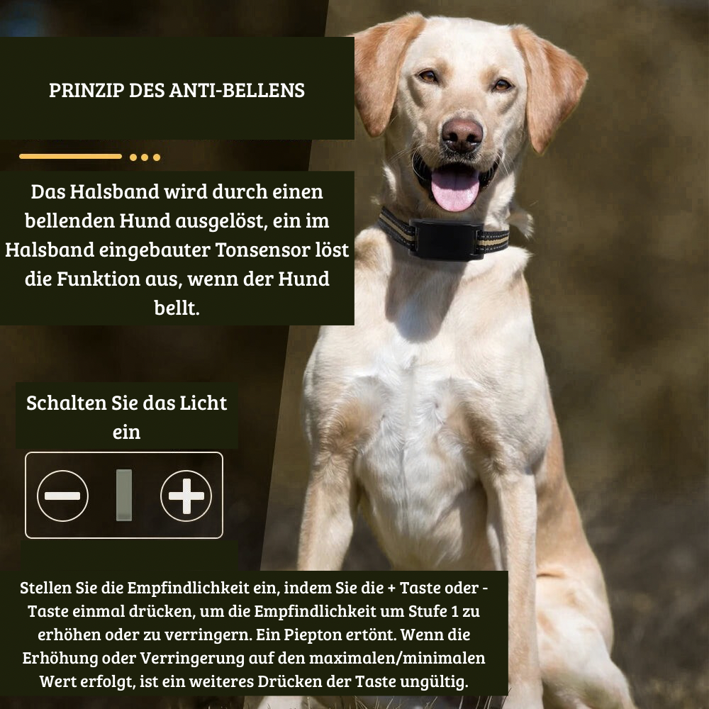 Anti-Bell-Hundehalsband