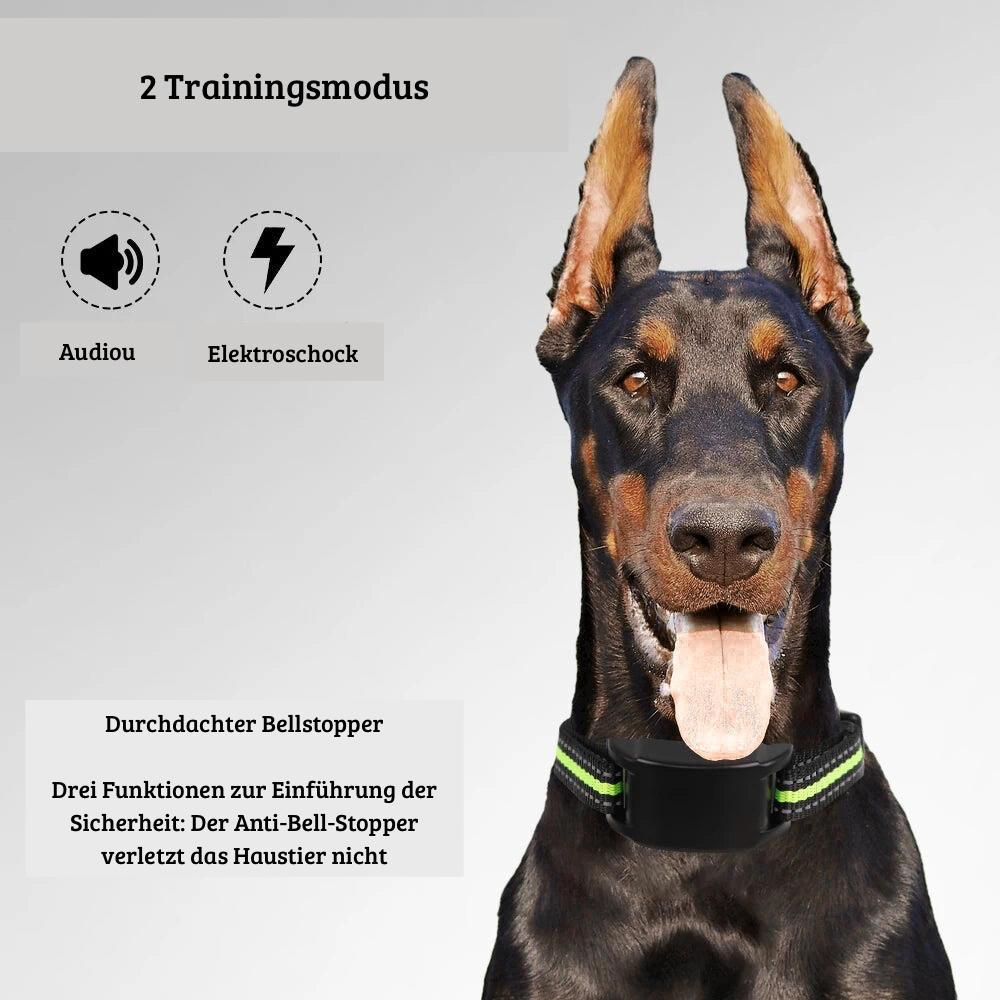 Anti-Bell-Hundehalsband