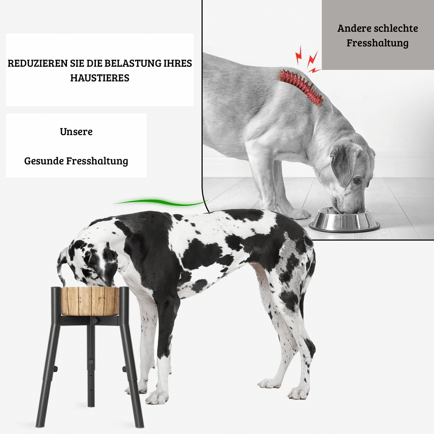 Höhenverstellbarer Hundenapf-Ständer aus Metall (ohne Napf)