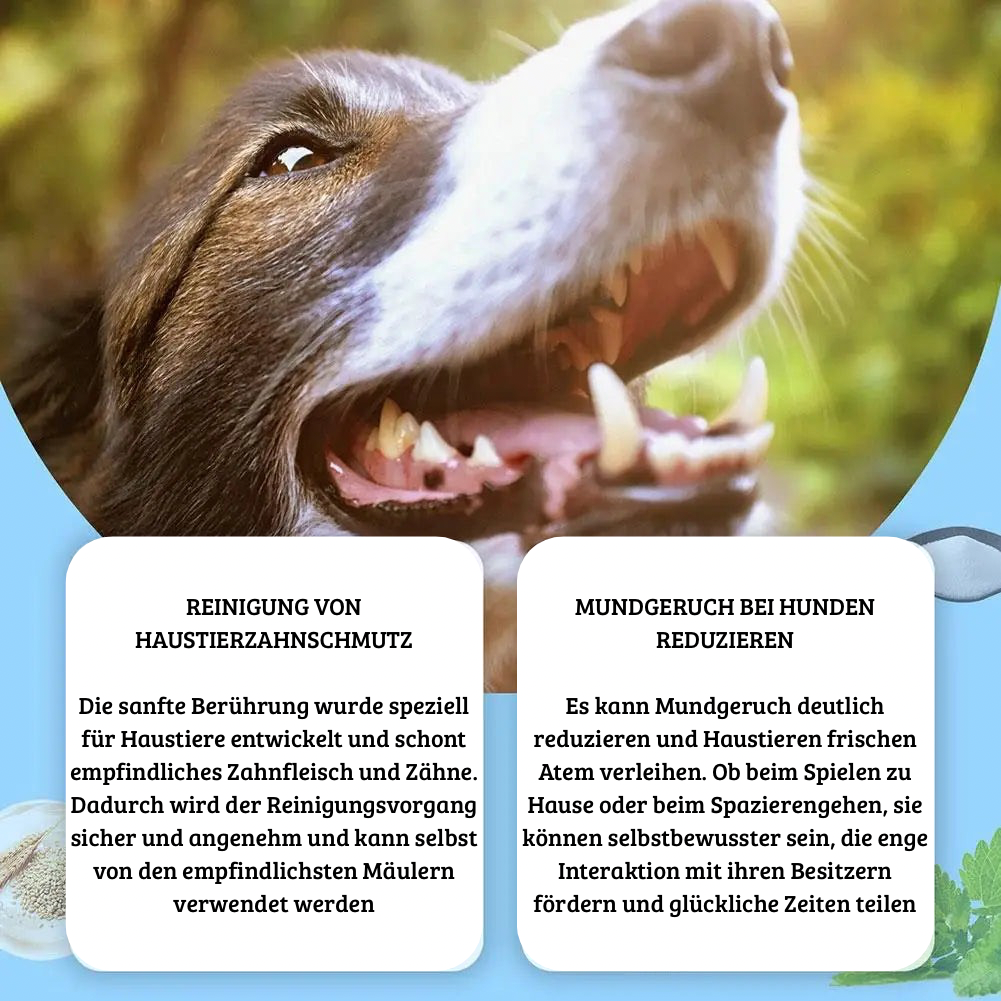 Zahnpflegestift für Haustiere – einfache Zahnreinigung für Hunde und Katzen