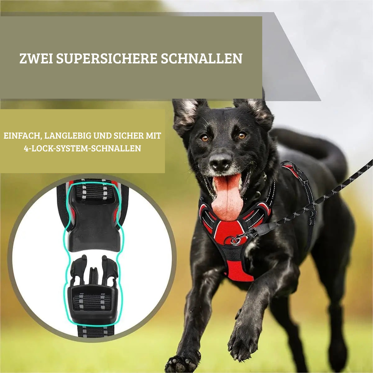 Zugstopp-Hundegeschirr mit Brustclip