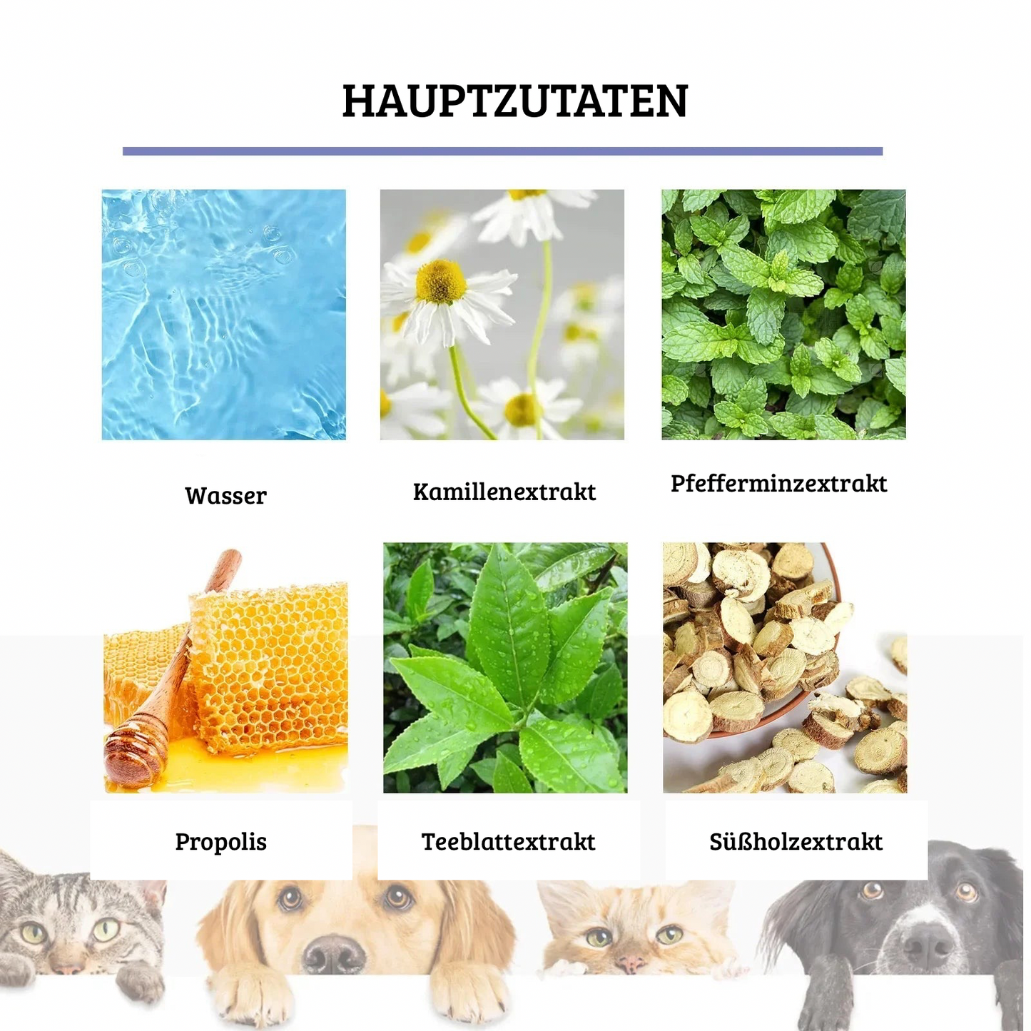 Mundspray für Hunde & Katzen – 50 ml Zahnreinigung & Atemfrische