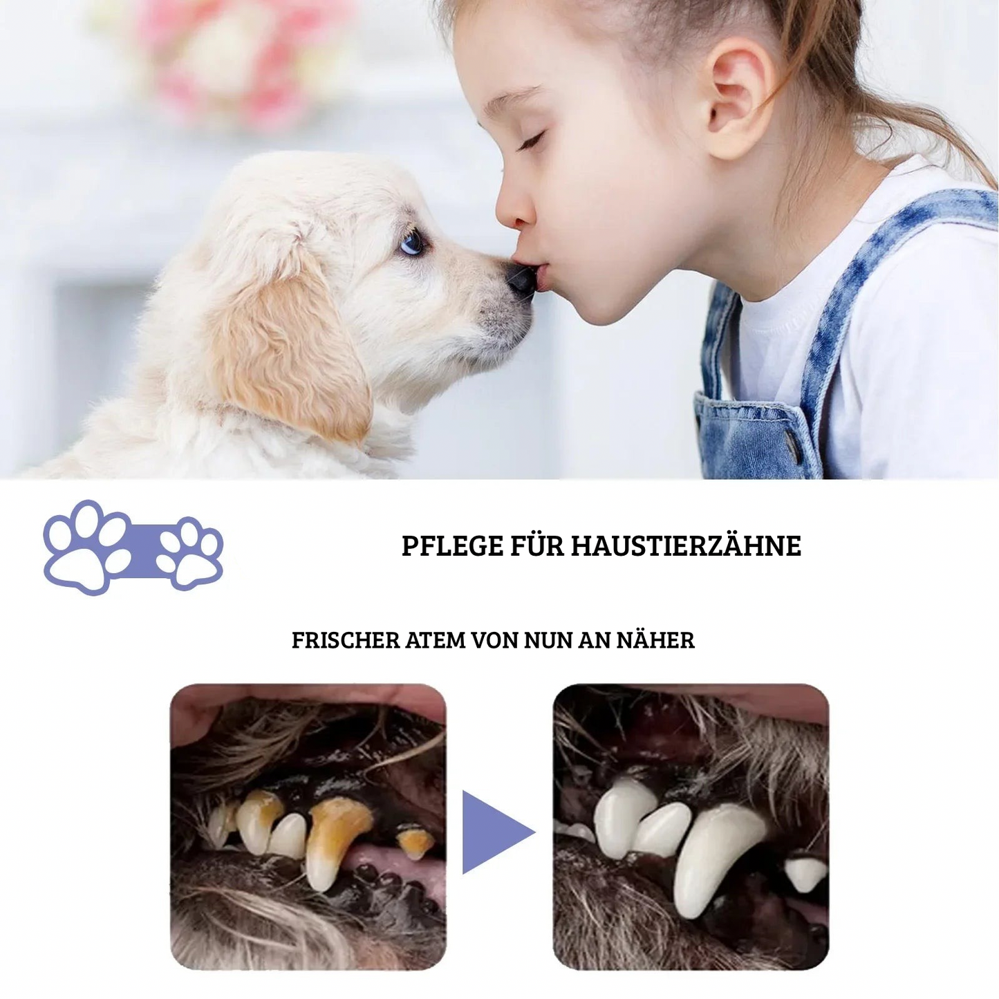 Mundspray für Hunde & Katzen – 50 ml Zahnreinigung & Atemfrische