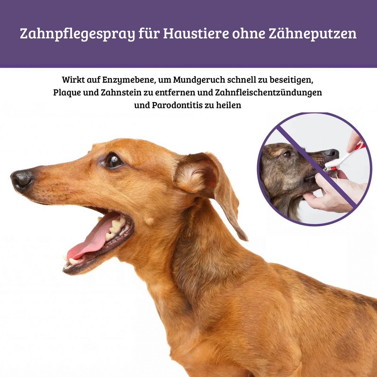 Mundspray für Hunde & Katzen – 50 ml Zahnreinigung & Atemfrische
