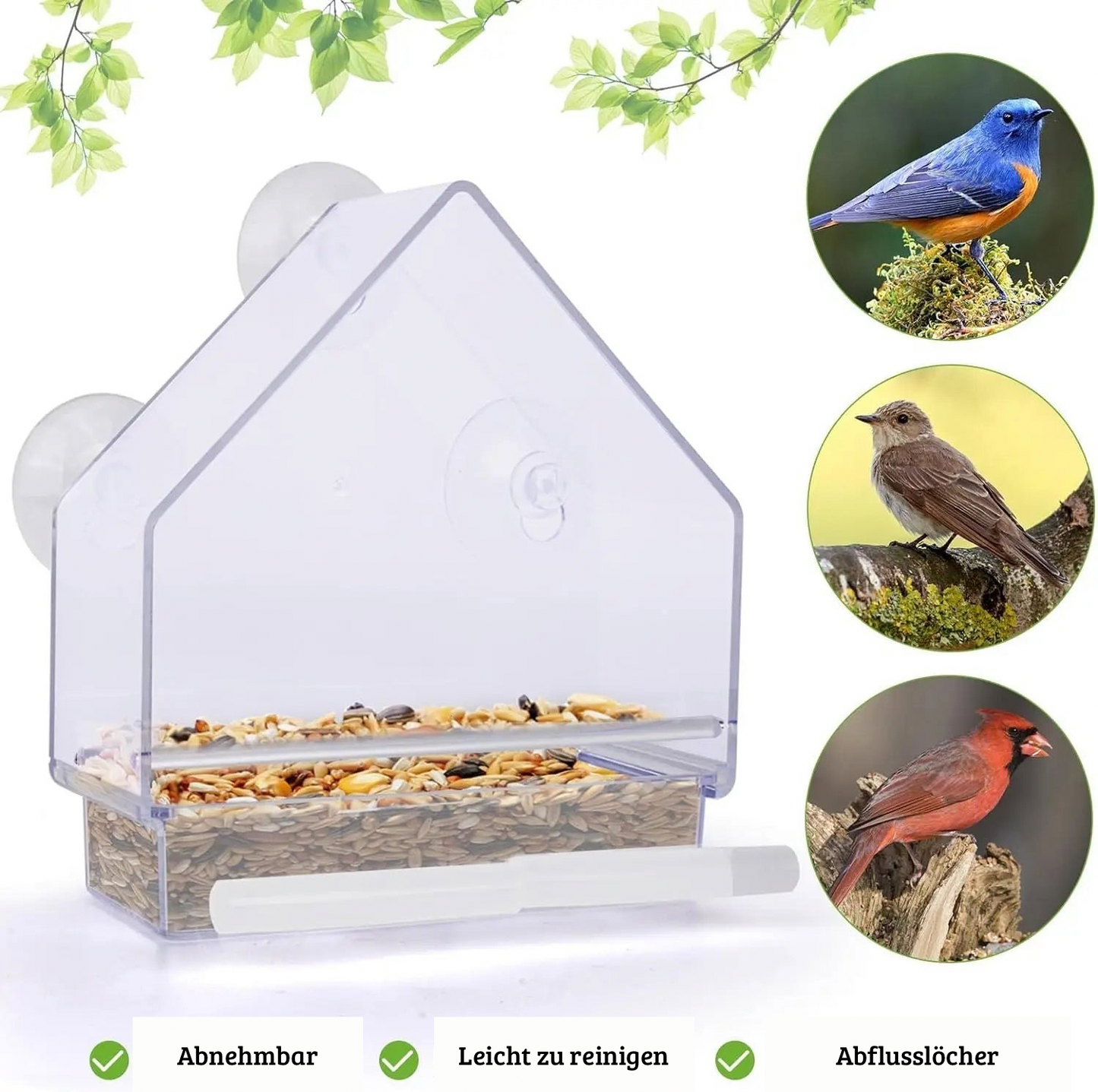 Fenster-Vogelfutterhaus mit starken Saugnäpfen