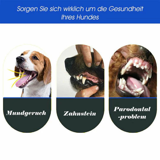 ZahnpflegePro – 3-Kopf-Hundezahnbürste für gesunde Zähne