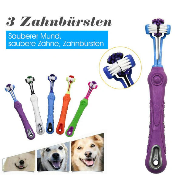 ZahnpflegePro – 3-Kopf-Hundezahnbürste für gesunde Zähne