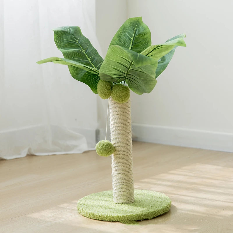 Kratzpalme