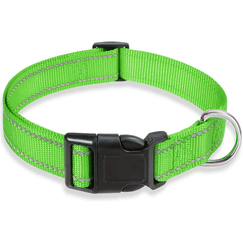 Reflektierendes, verstellbares Hundehalsband