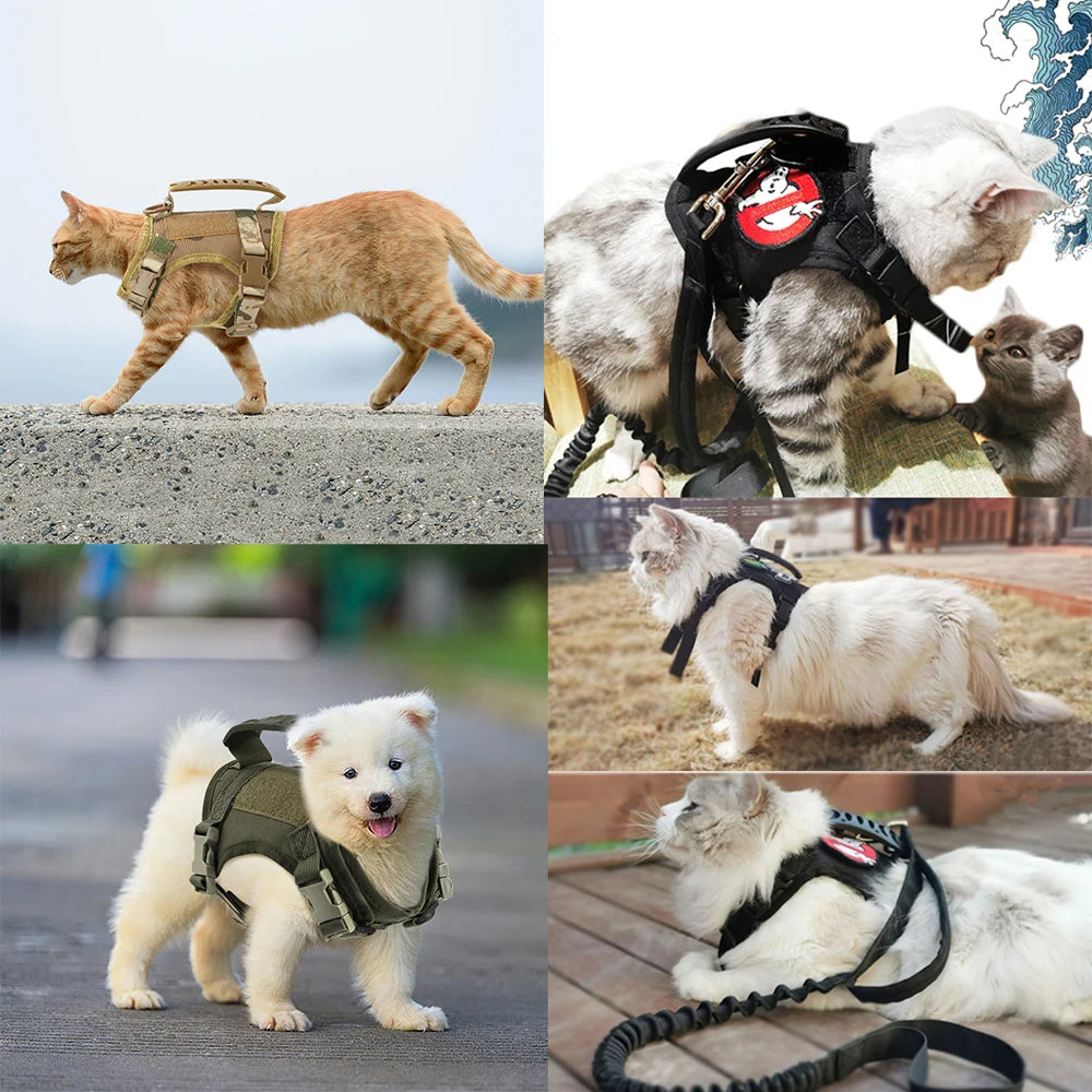 Spezial Katzen-Geschirr