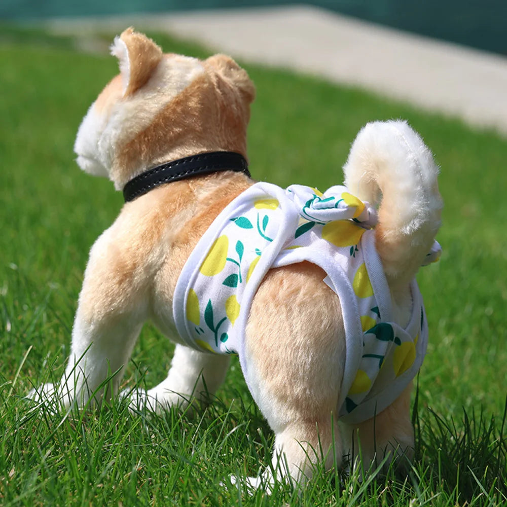 Waschbare Hundewindel