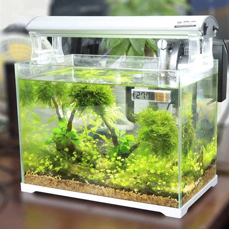 Digitales Aquarium-Thermometer