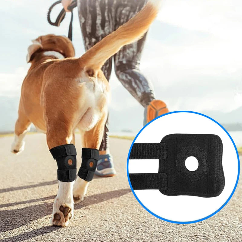 Beinschiene für Hunde